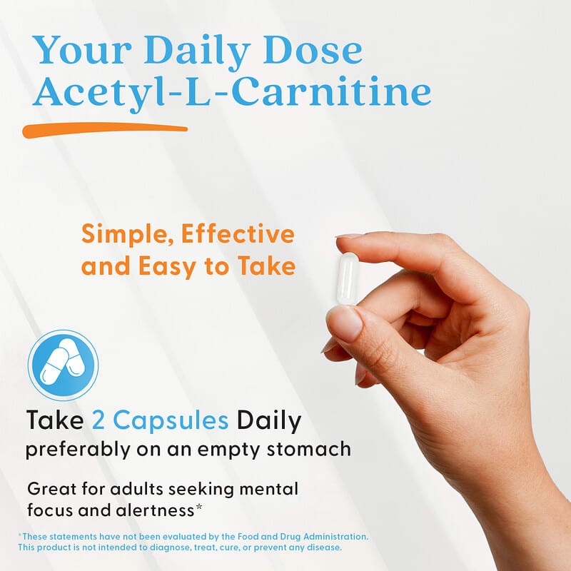 l carnitine daily L-Carnitine benefits main image 1