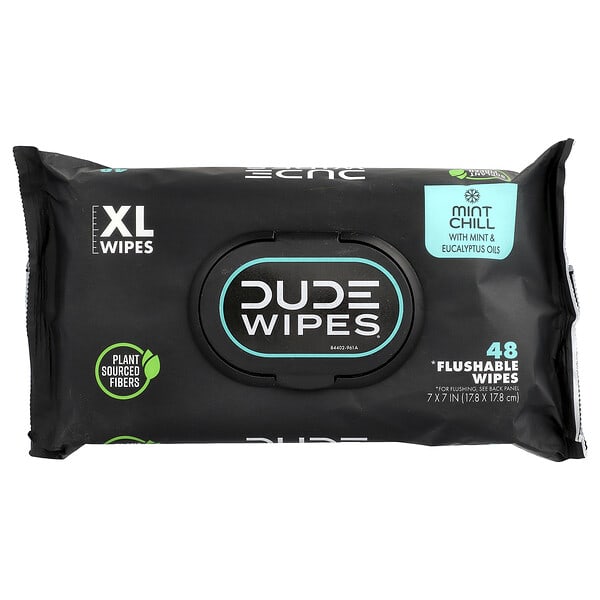 Dude Products（デュードゥプロダクト）, トイレに流せる拭き取りシート、XL、ミントチル、48枚