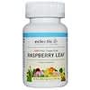 Raspberry Leaf, 300 mg, 90 Non-GMO Veggie Caps