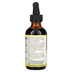 Eclectic Institute, Kid's Herbal Glycerite, Elderberry, 2 fl oz (60 ml)
