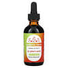 St. John's Wort Extract, 2 fl oz (60 ml)