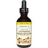Herbs For Kids, Echinacea Premium Blend, Tangerine Flavor, 2 fl oz (60 ml)