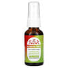 Spray para Garganta para Crianças, Echinacea Goldenseal, 30 ml (1 fl oz)