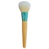 Complexion Collection, Mattifying Finish Brush