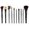 Professional Brush Collection, 10 Pieces