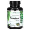 Mediterranes Olivenblatt, 500 mg, 60 pflanzliche Kapseln