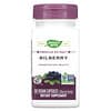 Bilberry, 80 mg, 60 Vegan Capsules