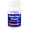 Chaste Berry Extract, PMS Symptom Relief, 60 Veggie Caps