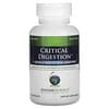 Critical Digestion, 90 Capsules