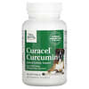Curacel Curcumin, Optimal Cellular Support, For Dogs, Curacel Kurkumin, optimale zelluläre Unterstützung, für Hunde, 60 Weichkapseln