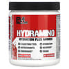 HydraAmino, Punch aux fruits, 246 g
