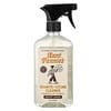 Aunt Fannie's, Graniet- en steenreiniger, heldere citroengeur, 500 ml (16,9 fl oz)