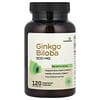 Ginkgo Biloba, 500 mg, 120 pflanzliche Kapseln (250 mg pro Kapsel)