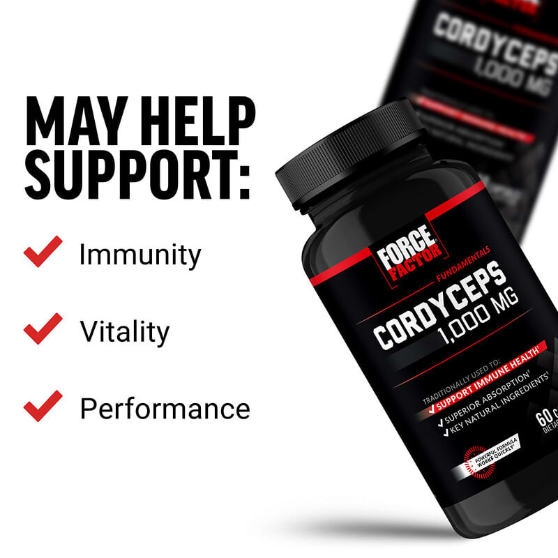 Fundamentals, Cordyceps, 60 Capsules