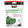 Fundamentals, Chlorophyll, Fresh Mint, 30 Soft Chews