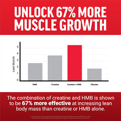 HMB＆CREATINE48.000
30包入り HMB + Creatine - GymBeam | GymBeam.com