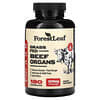 Grass Fed Beef Organs, 3,000 mg , 180 Capsules (500 mg per Capsule)