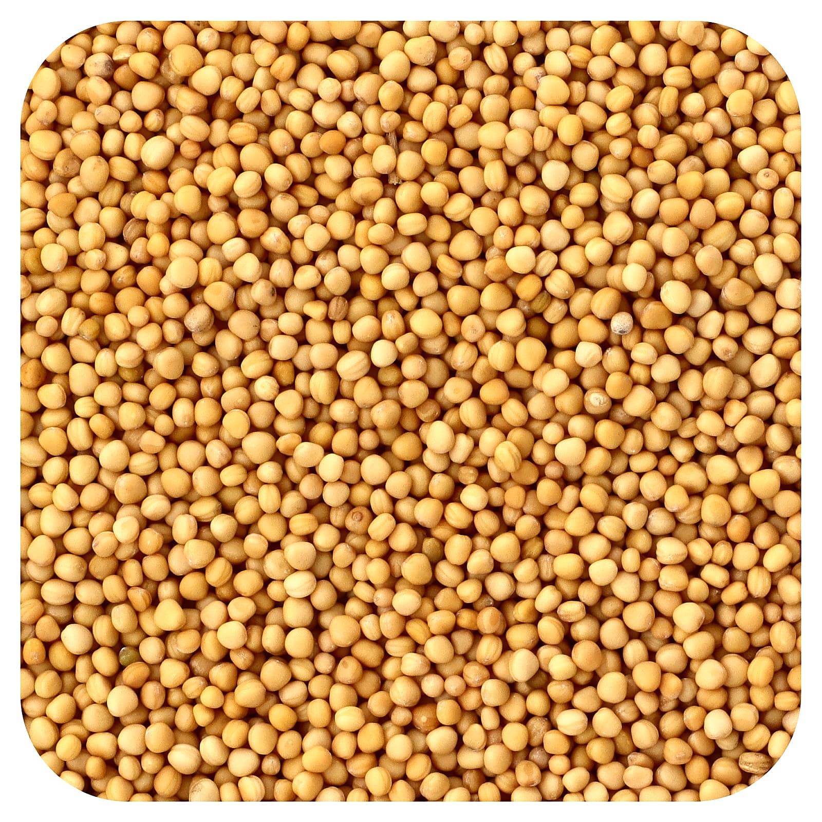 Organic Whole Yellow Mustard Seed, 16 oz (453 g)
