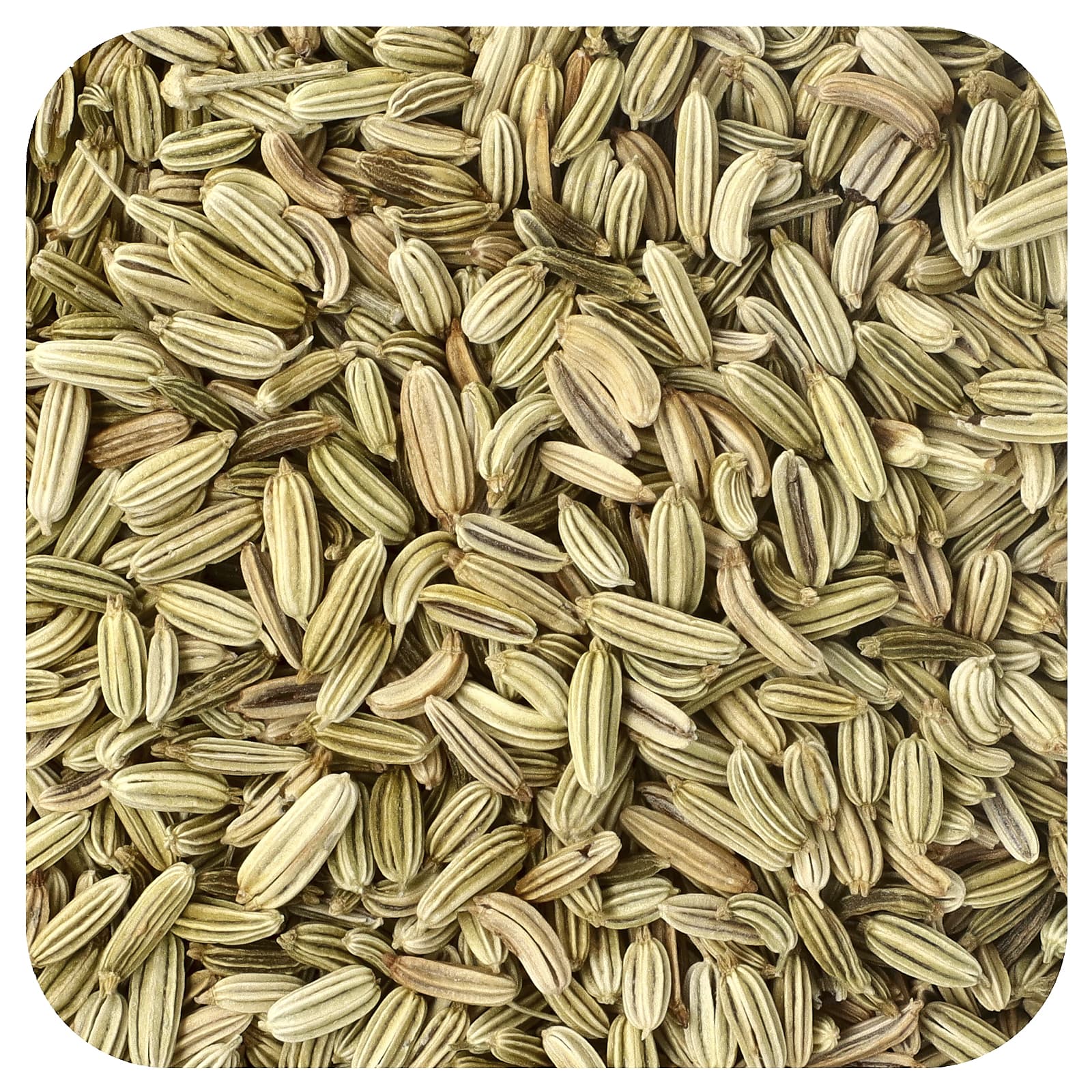 Organic Whole Fennel Seed, 16 oz (453 g)