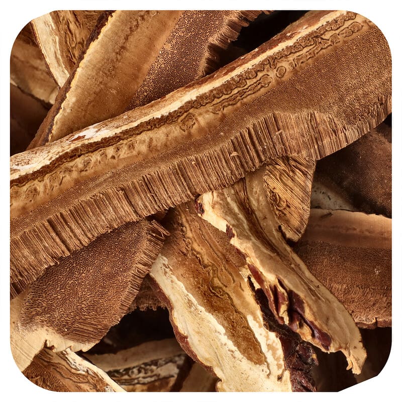 オーガニック乾燥霊芝、スライス、113g（4オンス）