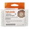 Full Circle, Span Tumbuhan Selulosa, 3 Kiraan