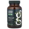 Olive Leaf, 120 Liquid Phyto-Caps®
