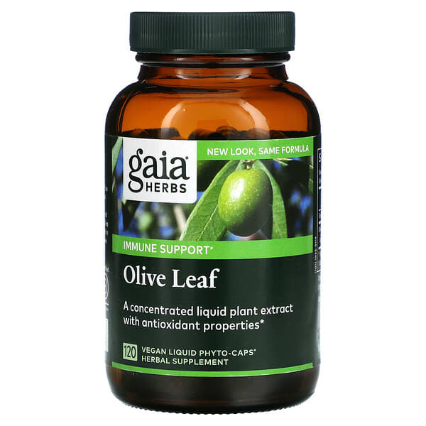 Gaia Herbs, Hoja de olivo, 120 cápsulas líquidas veganas