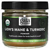 Lion's Mane & Turmeric Powder, 3.53 oz (100 g)