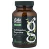 Astrágalo supremo, 120 cápsulas Phyto-Caps® líquidas (650 mg por cápsula)