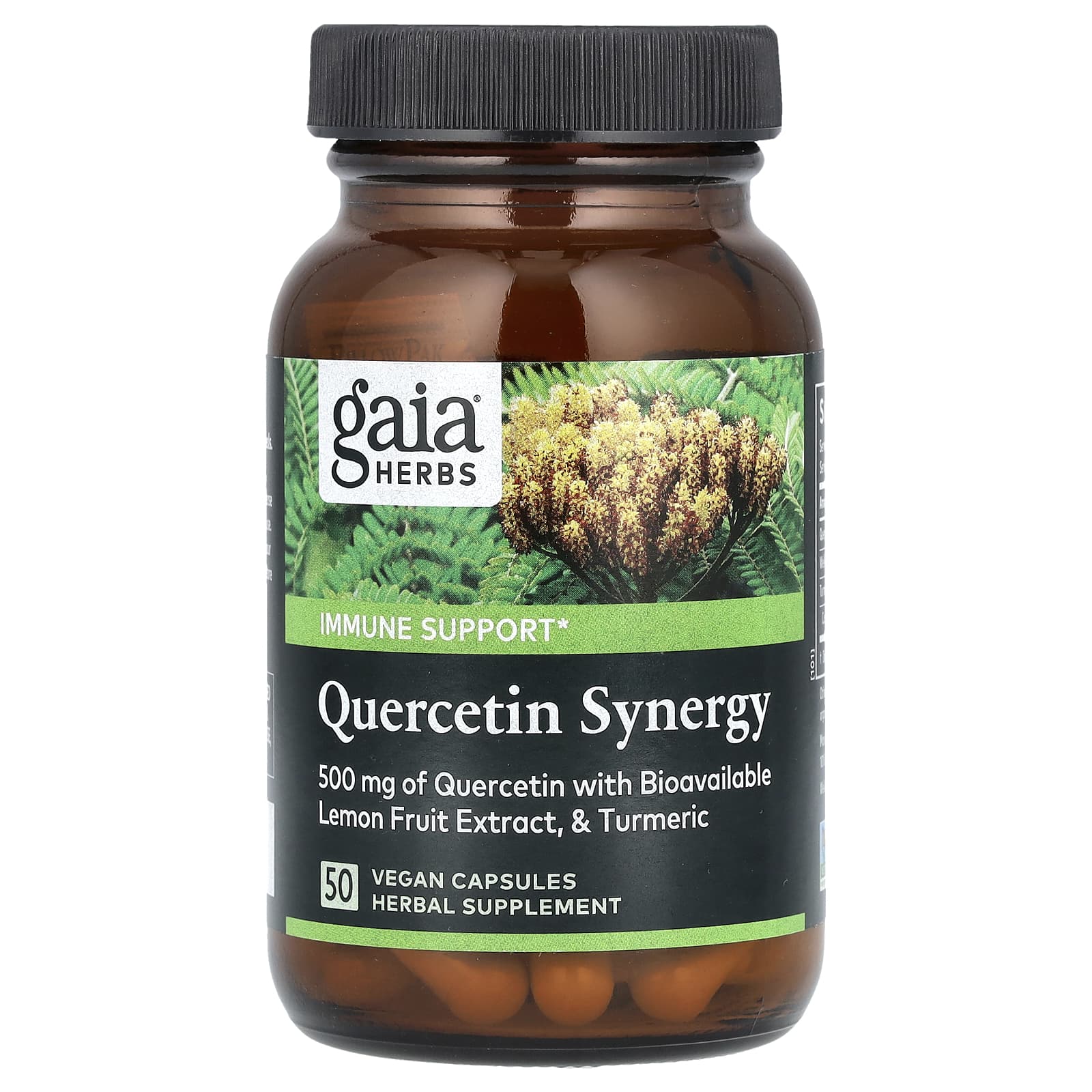 Gaia Herbs, Quercetin Synergy, 50 Vegan Capsules