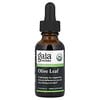 Olive Leaf, 1 fl oz (30 ml)