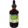 Organics, Echinacea Supreme, 4 fl oz (120 ml)