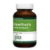 Hawthorn Solid Extract, 8 oz (227 g)