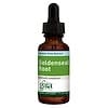 Goldenseal Root, Alcohol Free Extract, 1 fl oz (30 ml)
