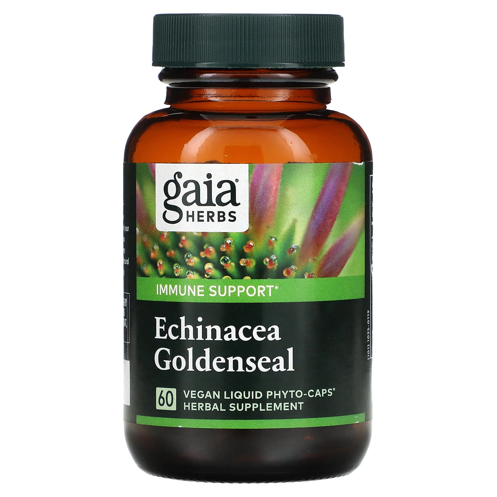 Gaia Herbs, Echinacea Goldenseal, 60 Vegan Liquid Phyto-Caps