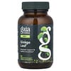 Ginkgo Leaf, 60  Liquid Phyto-Caps®