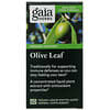 Olive Leaf, 60 Vegan Liquid Phyto-Caps