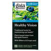 Healthy Vision, 60 Vegan Liquid Phyto-Caps