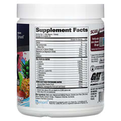 GAT, FLEXX 必需胺基酸 + 補水營養粉，果汁潘趣味，12.5 盎司（345.9 克） (已停產商品) 