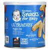 Lil' Crunchies, Baked Grain Snack, 8+ Months, Veggie Dip, 1.48 oz (42 g)