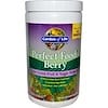 Perfect Food Berry, Super Green Fruit & Veggie Formula, 8.5 oz (240 g)