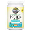RAW Organic Protein, Plant-Based, Unflavored, 19.75 oz (560 g)
