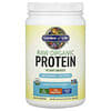 Garden of Life, 무가공 유기농 단백질, 무맛, 560g(1lb 3.75oz)