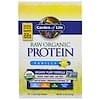 RAW Organic Protein, Vanilla, 10 Packets, 1.1 oz (31 g) Each