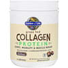 Grass Fed Collagen Protein, Chocolate, 20.74 oz (588 g)