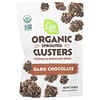 Organic Sprouted Clusters, Dark Chocolate, 3 oz (85 g)