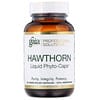 Hawthorn, 60 Liquid-Filled Capsules