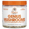 Genius Mushrooms，90 粒素食胶囊