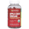 Organic Apple Cider Vinegar Gummies, Bio-Apfelessig-Fruchtgummis, natürlicher Apfel, 120 Fruchtgummis