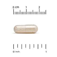 HealthyBiom (هيلثيبيوم)‏, لاكتوباسيلوس روتيري LRC مع فيتامين د، 5 مليار وحدة تشكيل مستعمرة، 60 كبسولة نباتية